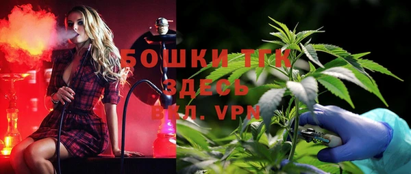 экстази Бородино